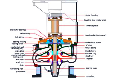 good marine vertical centrifugal pump|how do centrifugal pumps work.